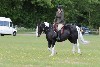 thornton-le-dale-gala showclass7acharity25-5-20162